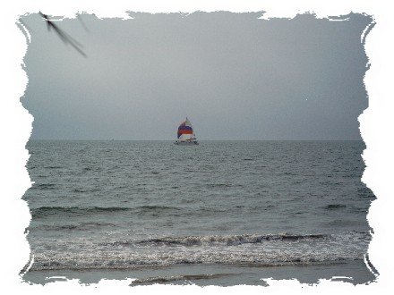 A typical view on the ocean